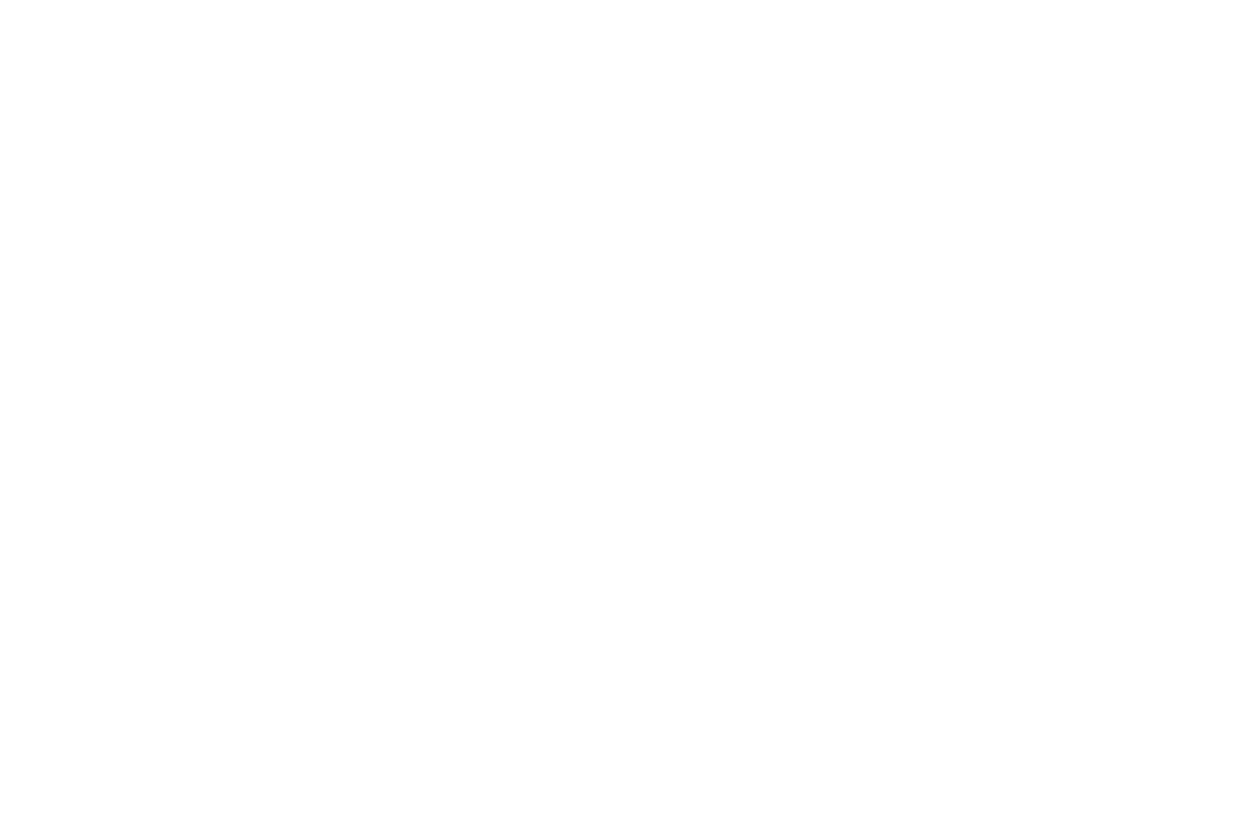 Konekta
